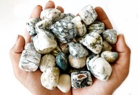 Tree Agate  Tumbled, Healing Crystal Tumbled Stones