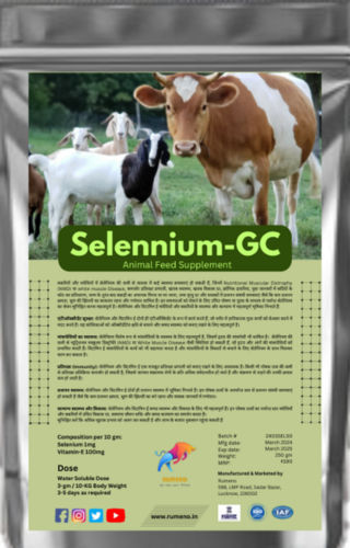 Selennium GC Cattle Feed Supplement