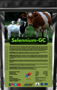 Selennium Gc Cattle Feed Supplement - Liquid Form, Various Sizes (500ml, 1ltr, 5ltr) | Supports Growth, Immune Function, No Smell