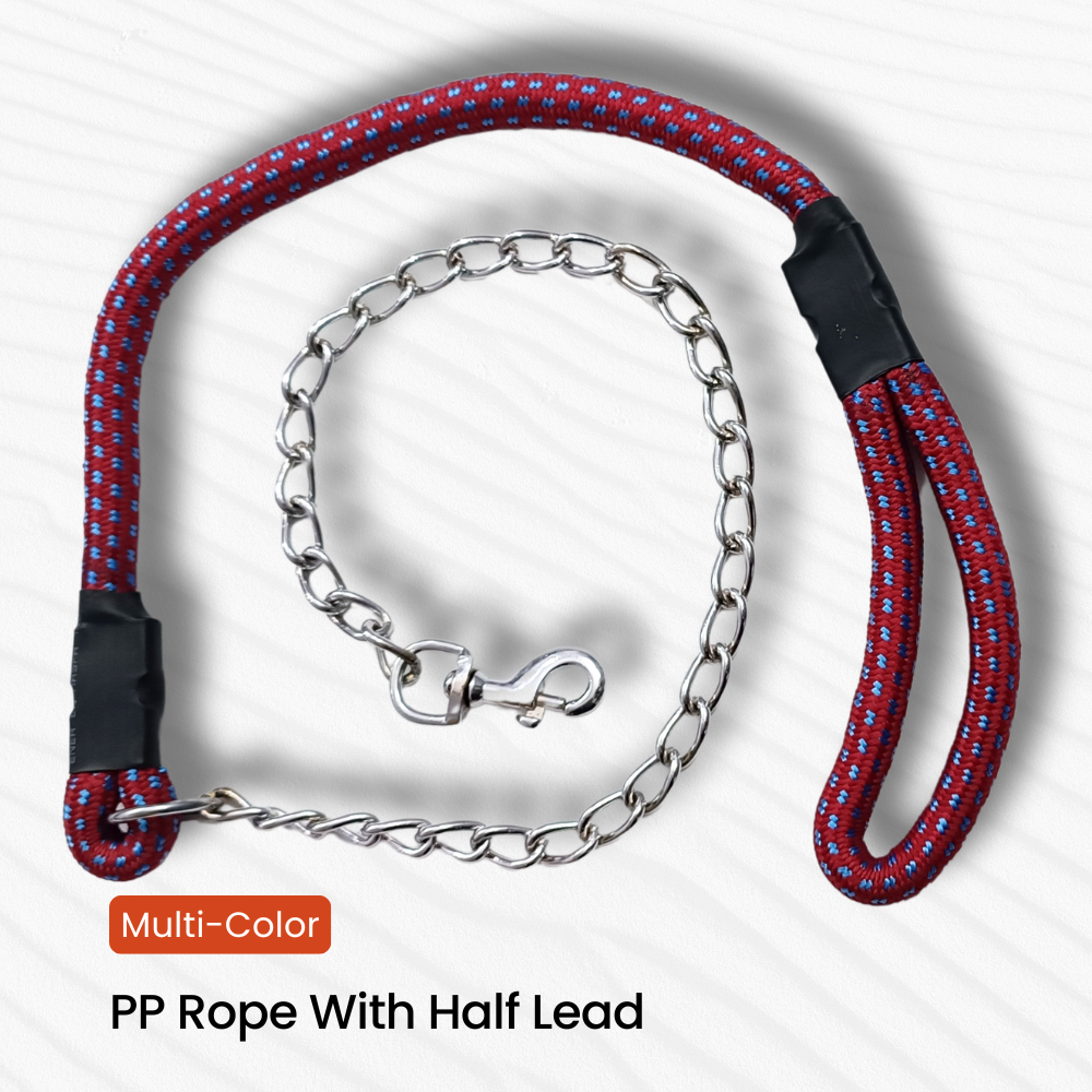 DOG COLOR HALF LEAD CHAIN / BRASS HOOK WITH REFLECTIVE HALF ROPE (NYLON)