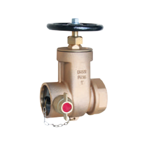 Dry Riser Landing Valve