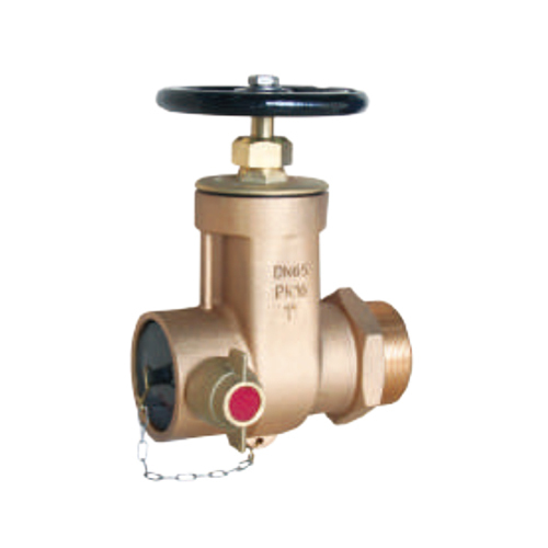 Polish Dry Riser Landing Valve