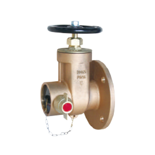 Dry Riser Landing Valve