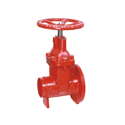 Flanged X Grooved Resilent NRS Gate Valve