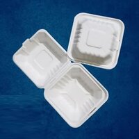 Clamshell Boxes - Pvc Material, 6x6 Inches, Matte White Finish | Sustainable Bagasse Design For 500 Gm Food Packaging
