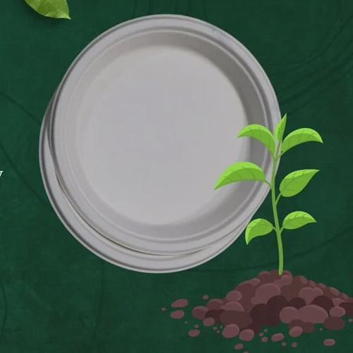 Bagasse Sugarcane Round Plate