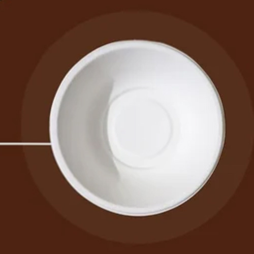 240 ML 8 Oz  Biodegradable Bowl
