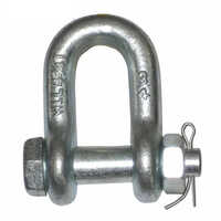 20 Ton D Shackle