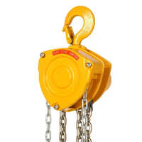 Indef Chain Pulley Block