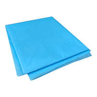 Disposable  Plastic Apron