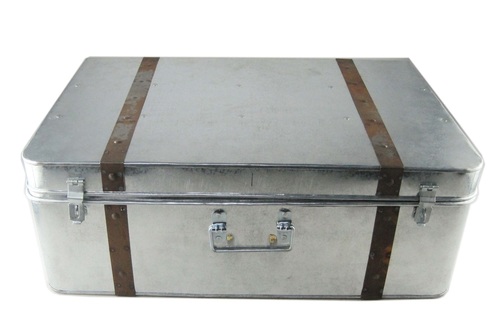 37 cm Galvanised Trunk Coloured Line