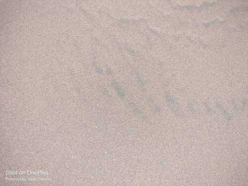 High Quality Silica Sand 0-1 mm Available Now