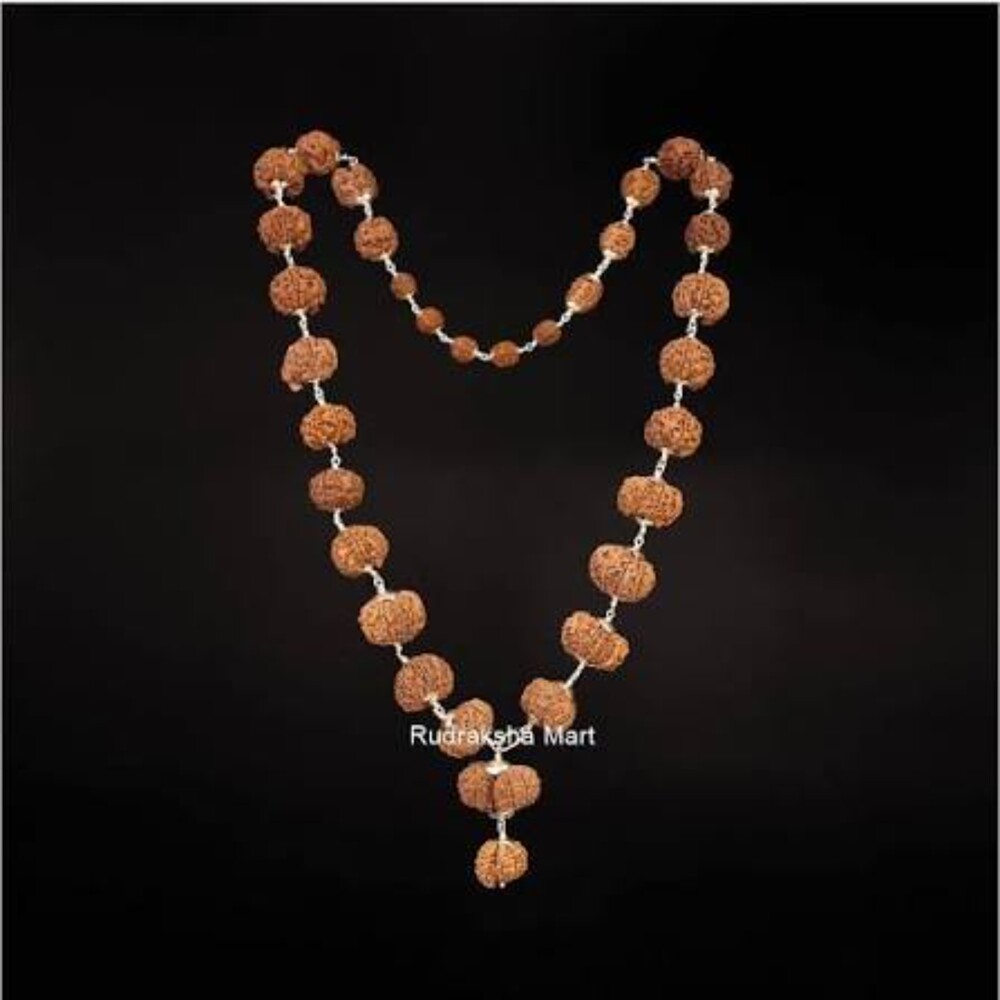 Siddha Rudraksha Mala