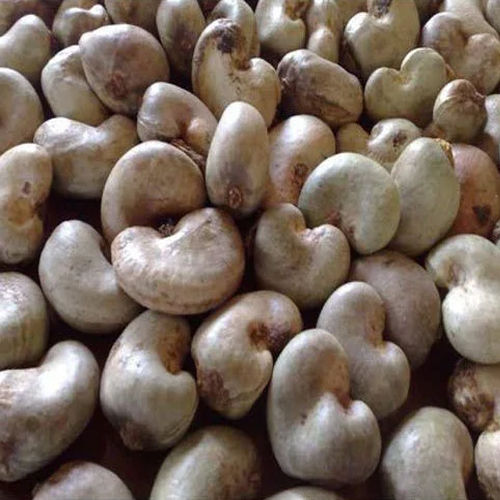 Organic Raw Cashew Nut