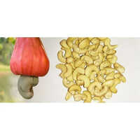 Processed Cashew Nuts - Organic, 5-20 Kilograms | Raw, Food Grade, Seasoned Flavor, 9 Month Shelf Life