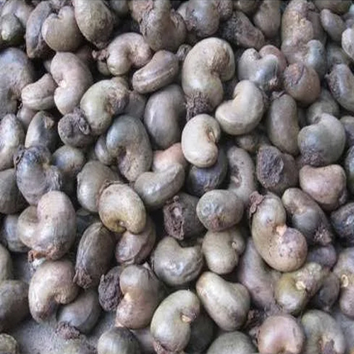 Dried Raw Cashew Nuts