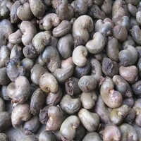 Dried Raw Cashew Nuts