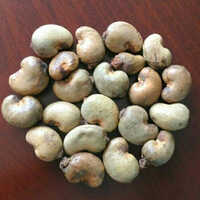 High Quality Raw Cashew Nuts