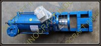 Two Stage Watering Vacuum Pump