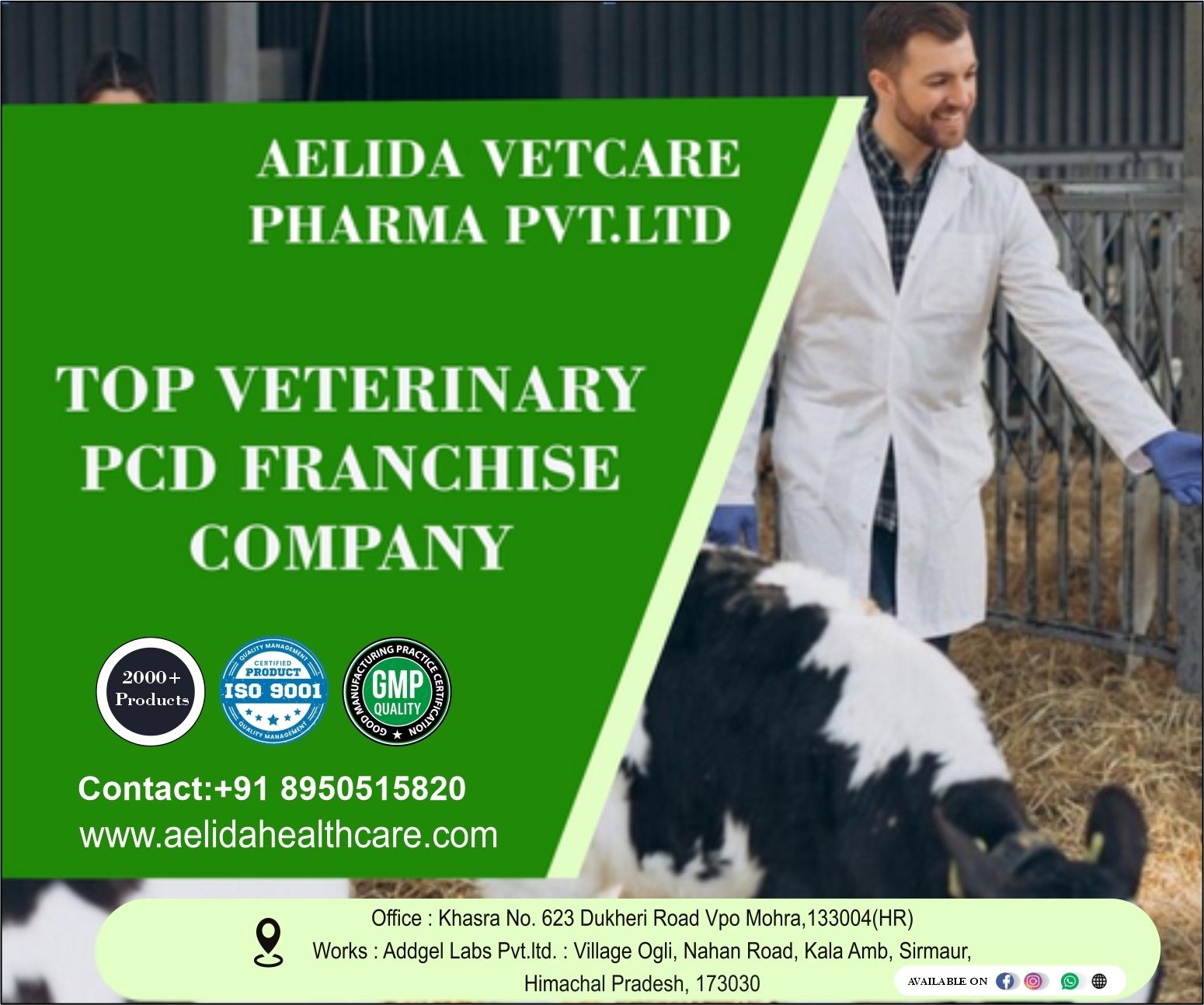 Ceftriaxone and Sulbactam Injection 4.5 gm In Veterinary PCD Franchise Company