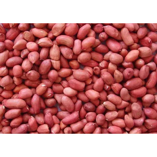 Red High Quality Groundnut Seeds