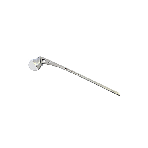 300 Mm Sterile Non Sterile Austin Moore Hip Prosthesis Dimension (l*w*h ...