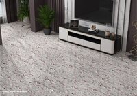 2X4 DOUBAL CHARGED  VITRIFIED TILES