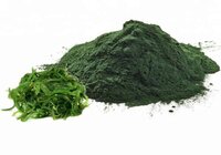 Organic Chlorella Powder (cracked Cell) - 60% Protein, 100% Water Soluble, Dark Green Color, Food Grade | Gmo Free, Spray Dried, 80 - 120 Mesh