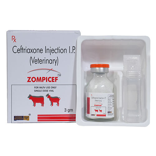 3gm Ceftriaxone Injection IP