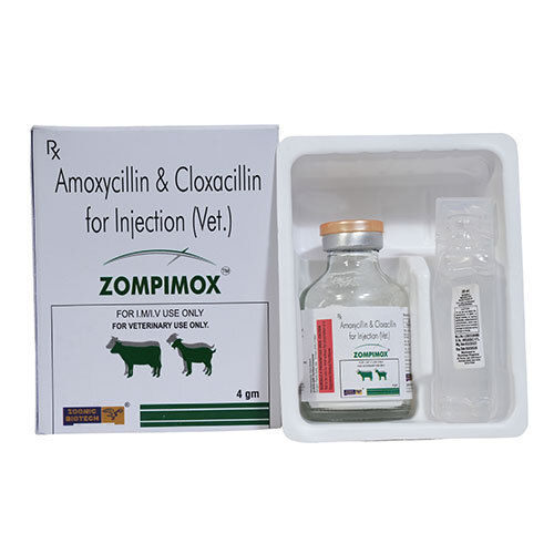 4gm Amoxycillin And Cloxacillin For Injection Ingredients: Solution Compound