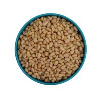 RAW PINE NUTS