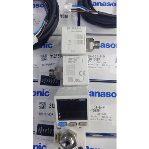 DP-101-E-P Digital Pressure Transmitter