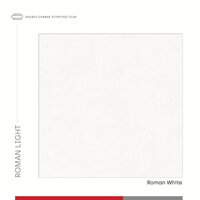 800X800 DOUBLE CHARGED VITRIFIED TILES