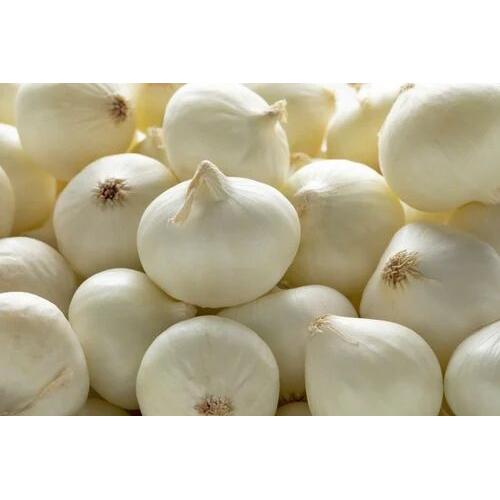 A Grade White Onion