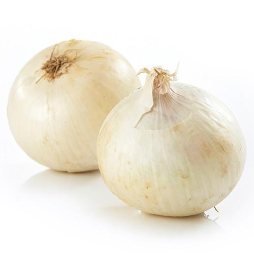 Natural White Onion