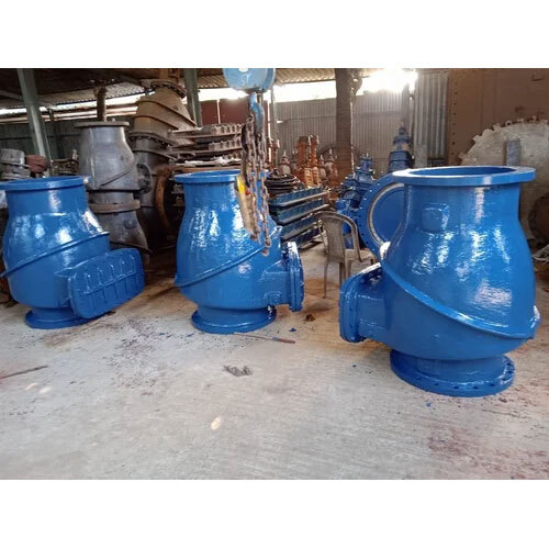 Blue Di Swing Type Non Return Valve