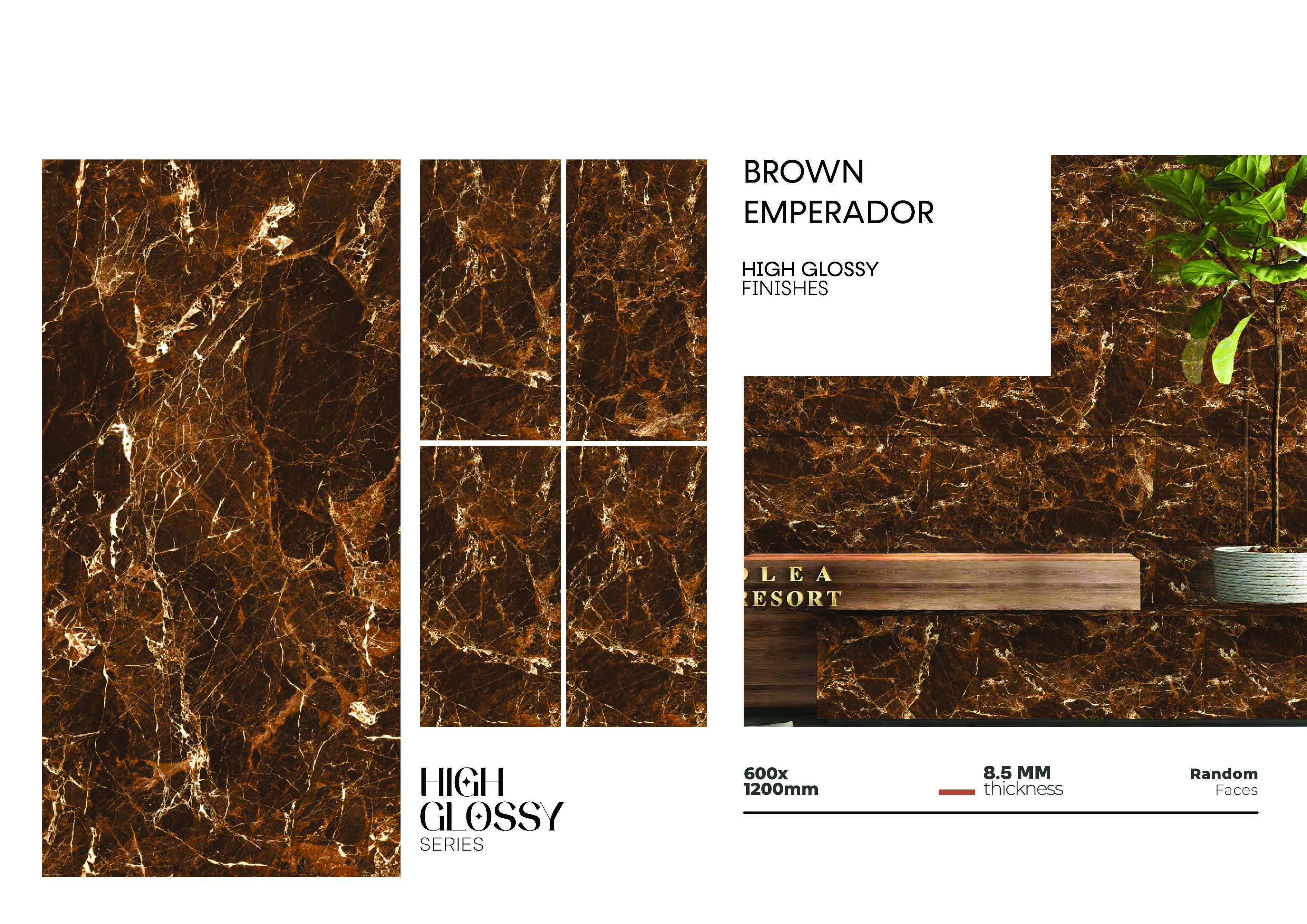 KAJARIA GLAZED VITRIFIED TILES