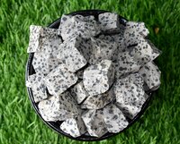 Dalmatian Jasper Rough Stone Crystal Raw Stone Rough Rock