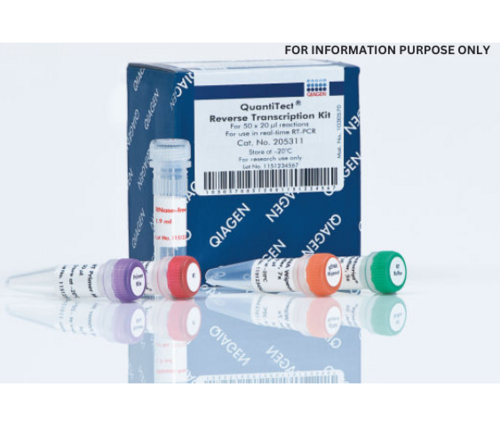 QIAGEN QuantiTect Rev.Transcription Kit