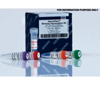 QIAGEN QuantiTect Rev.Transcription Kit
