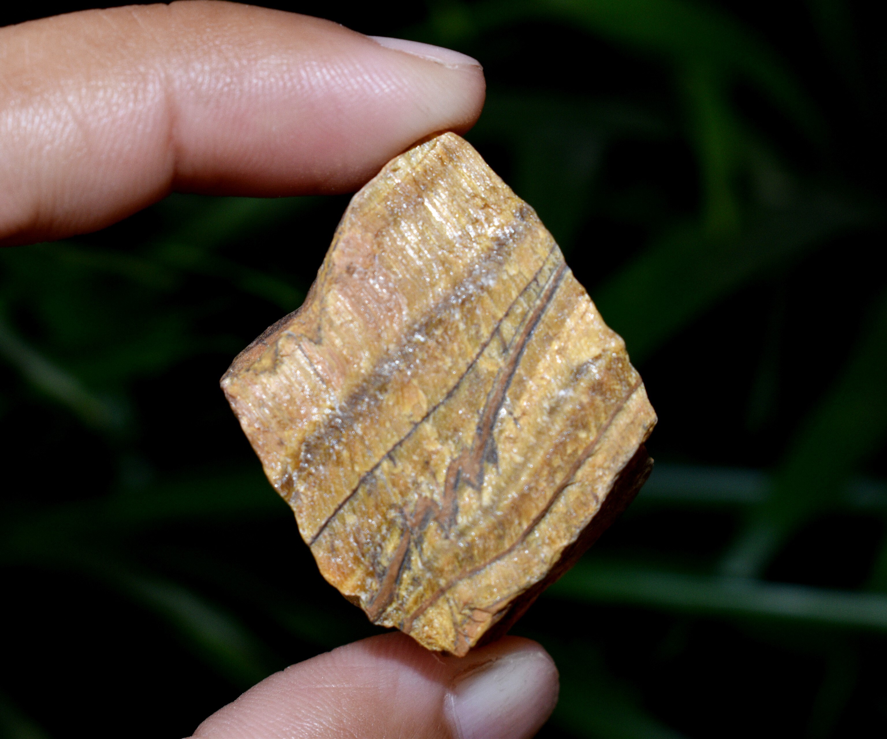 Tiger Eye Rough Stone Crystal Raw Stone rough Rock