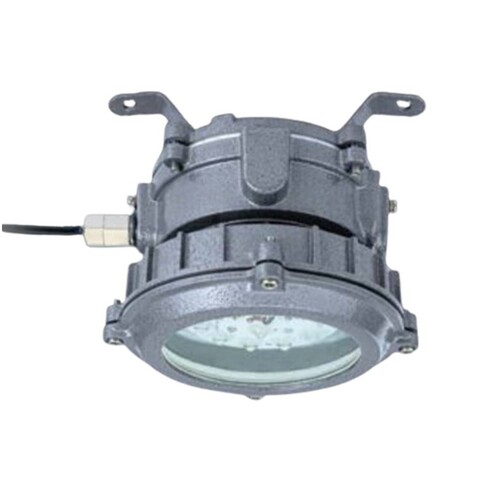 Crompton 40 Watt Flameproof  LED Well Glass Light CIMFT-PESO-BIS Certified FWL-1318-40-CDL-M  