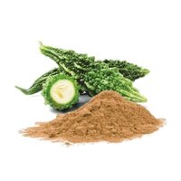 Bitter Gourd Fruit Powder