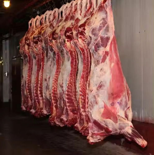 2018 Halal Whole Frozen Lamb Carcass