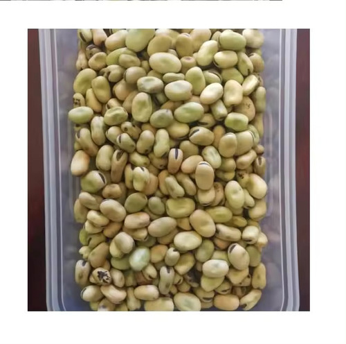 Dry Broad Bean WIth Shell Horse Bean Available