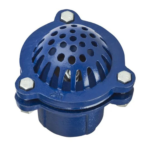 Flanged End CI Foot Valve