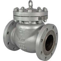 Flanged End Ci Check Valve Application: Industrial