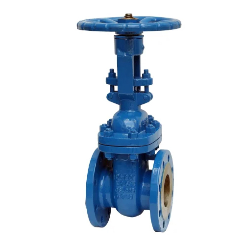 Cast Steel Gate Valve