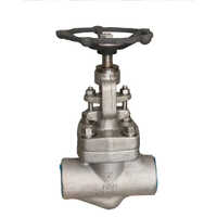 Multicolor Flanged End Forged Steel Globe Valve