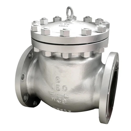CI Check Valve